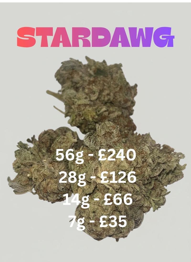 Stardawg