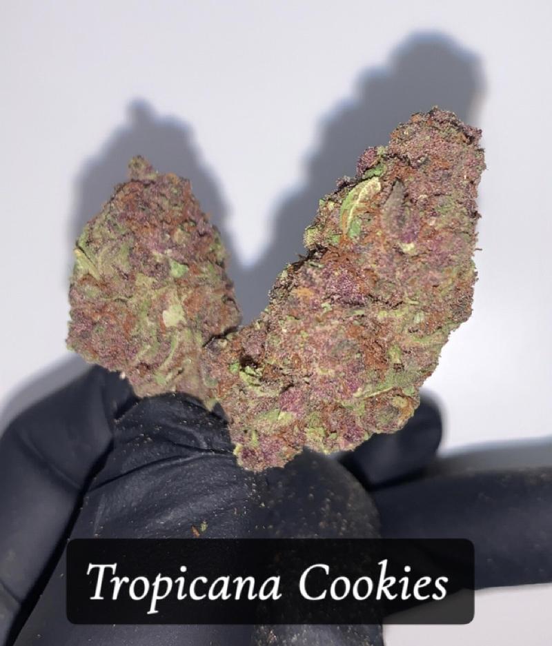 Tropicana Cookies