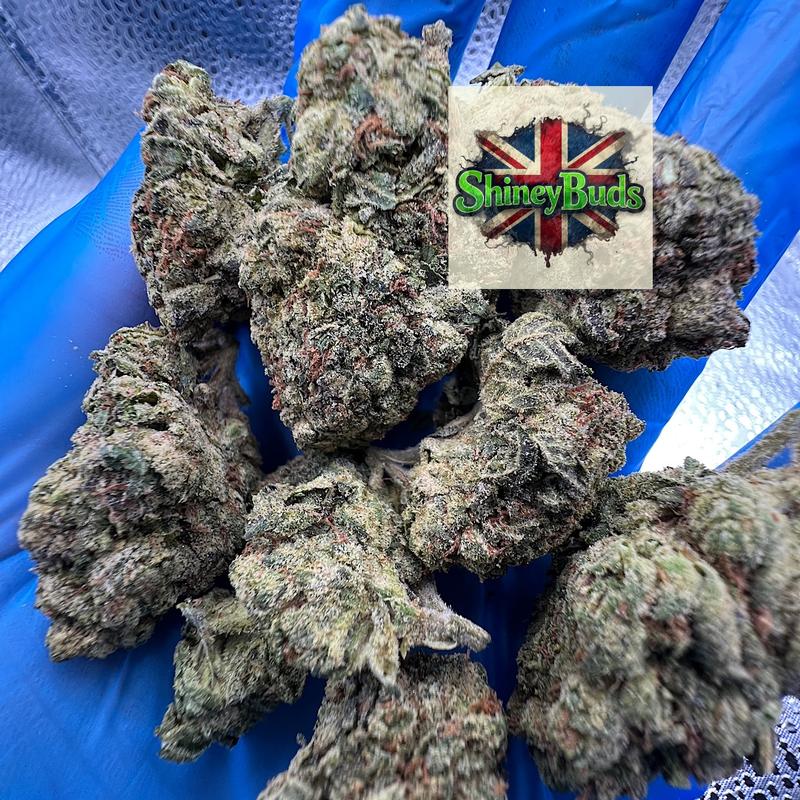🇺🇸 Lemon Cherry Runtz (Mids)