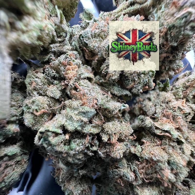 🇬🇧 Super Silver Haze