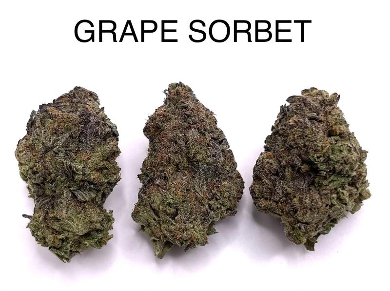 GRAPE SORBET