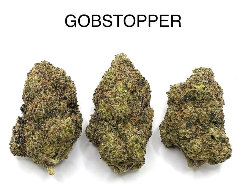 GOBSTOPPER