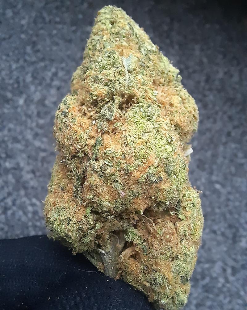 MENDO PURPS - USA - FREE RM 1ST CLASS SHIPPING