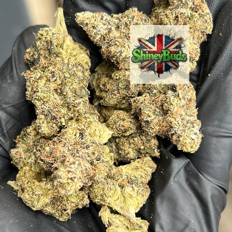 🇺🇸 Berry Bomb