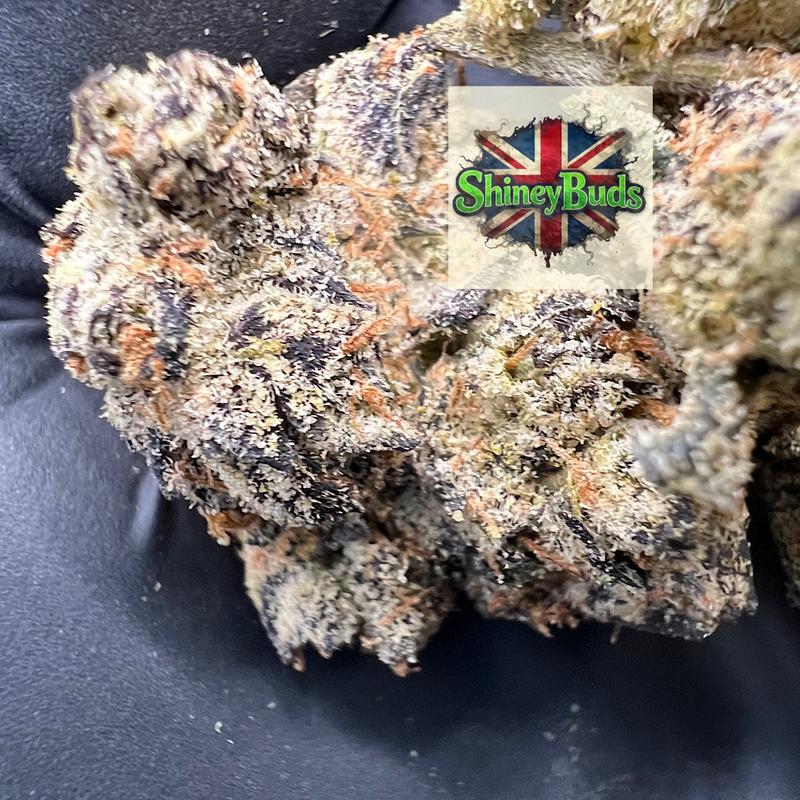 🇺🇸 Lemon Cherry Runtz
