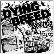 TerpHogz / Dying Breed Rare Packs