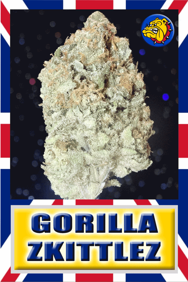 Bulldog's Gorilla Zkittlez