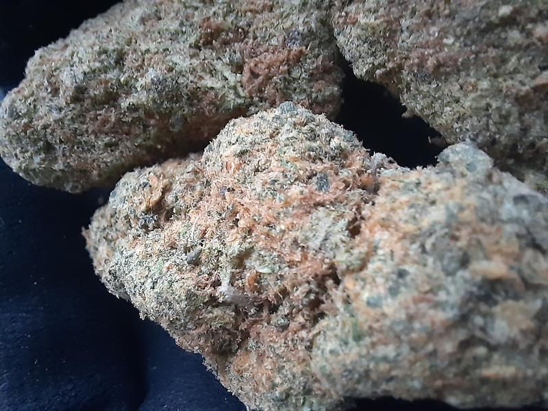 MENDO PURPS - USA - FREE RM 1ST CLASS SHIPPING