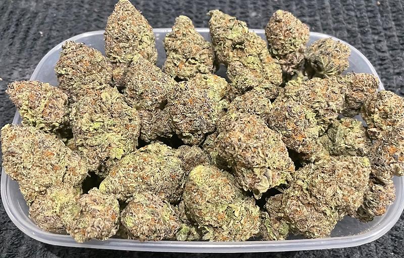 Zombie OG Canadian Import