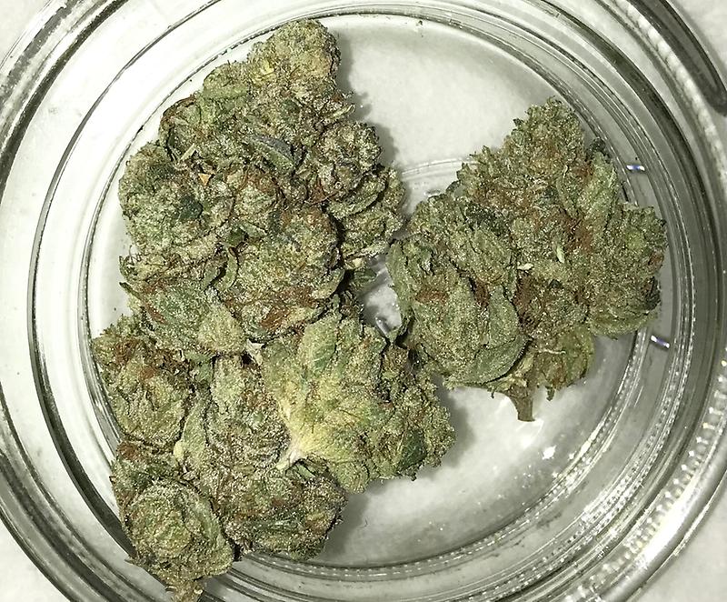 Gelato Dawg