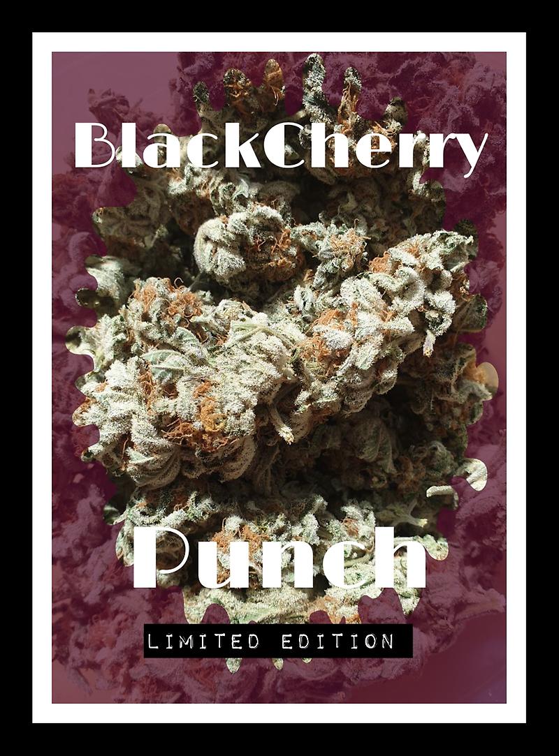 Buddies✓ - Blackcherry Punch A+