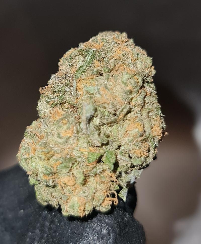 **BLUEBERRY - (FREE RM 1ST CLASS)**