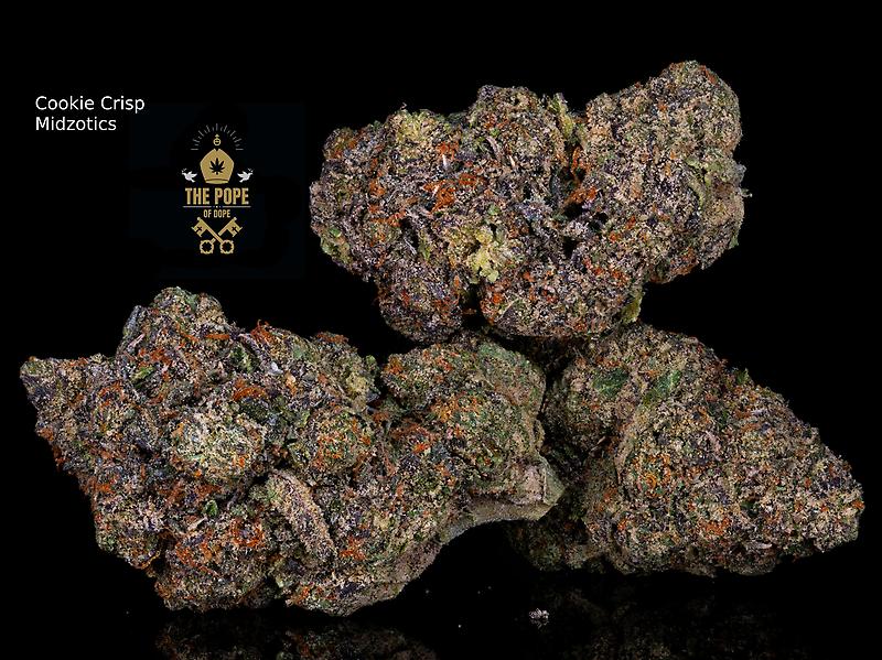 Midzotics FREE UK SHIPPING