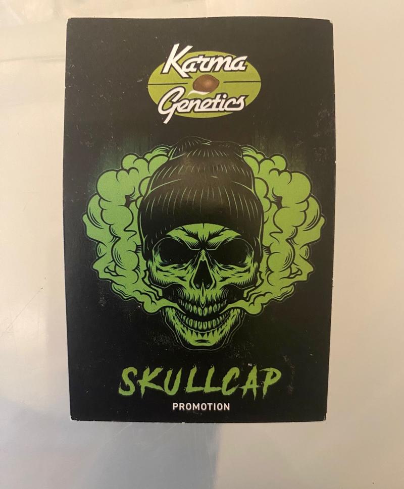 Karma Genetics
