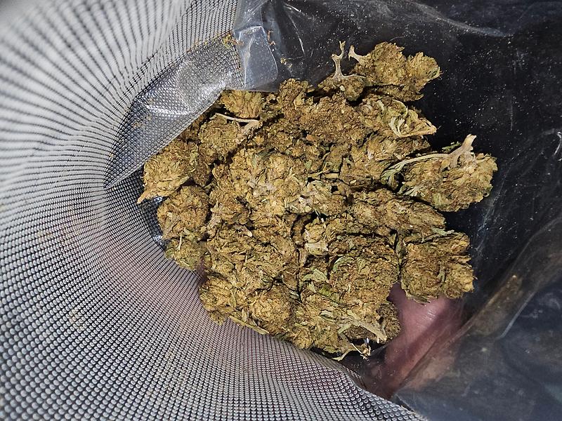 Gorilla Mintz Cheap OZs Free Delivery 📫