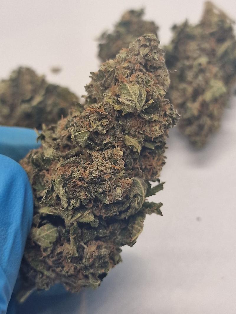 Absolutely Dank UK Grown Biscotti - Crazy Terps