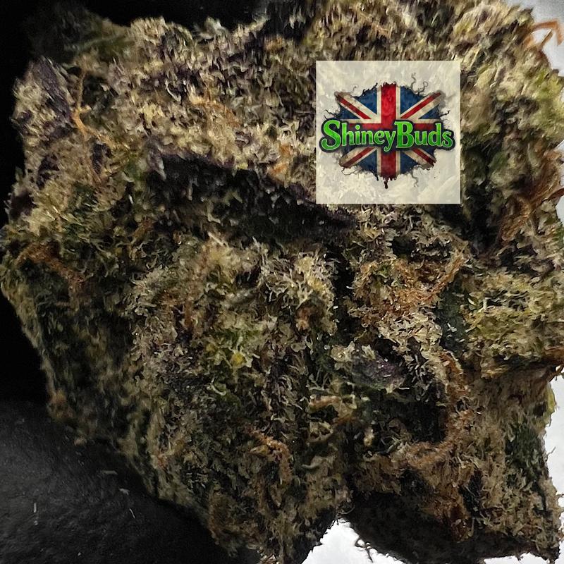 🇺🇸 Dark Matter