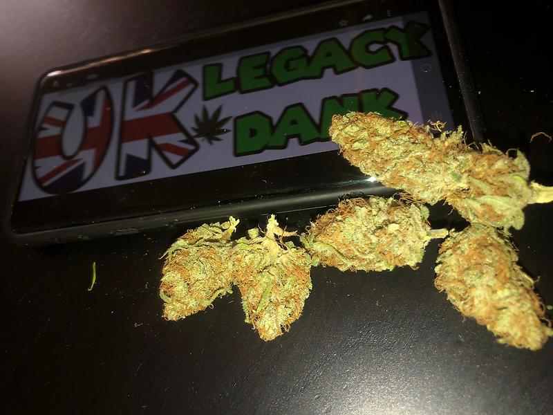 PINEAPPLE GLUE (Pineapple x Gorilla Glue)