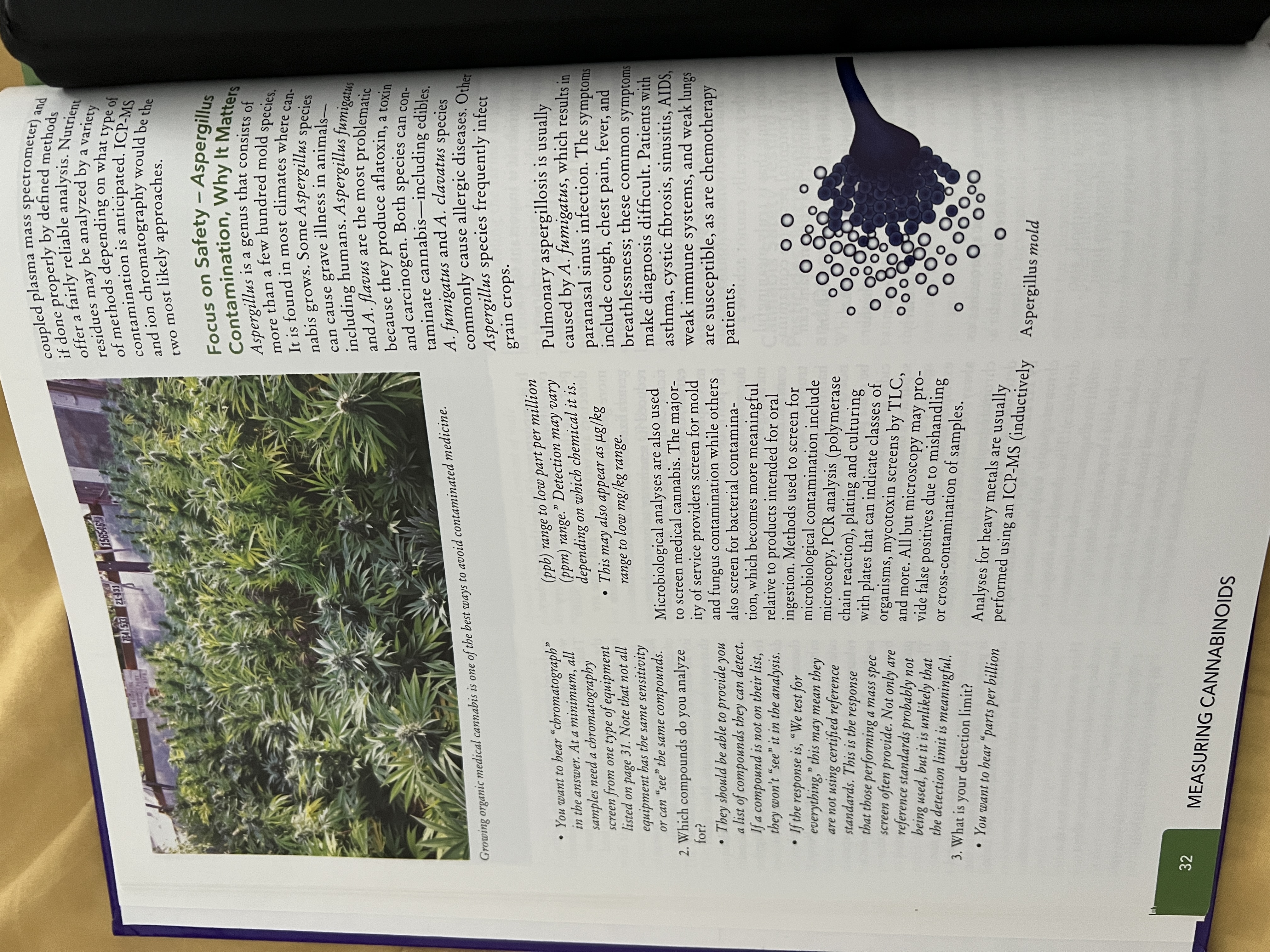 The Cannabis Encyclopaedia by J.C