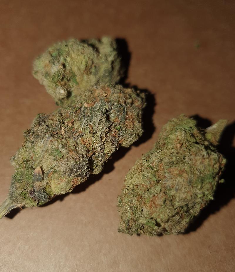 GELATO