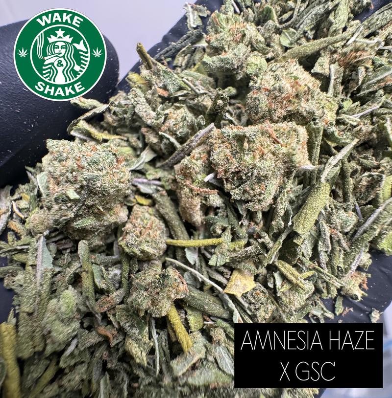Amnesia Haze X GSC Shake