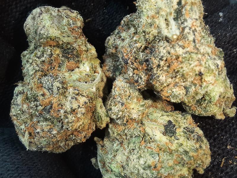 Guava Berry