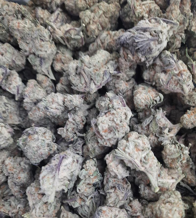 **MAC-N-JACK - (FREE RM 1ST CLASS DISPATCH)**