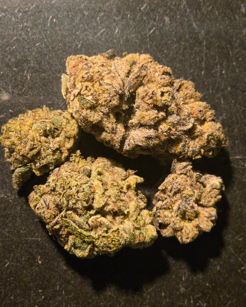 Jungle Cake