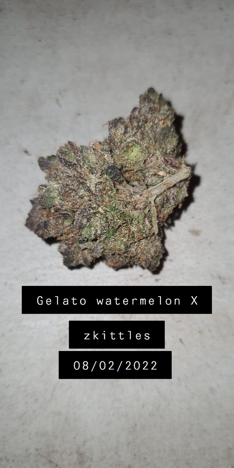 Gelato Watermelon X Zkittles