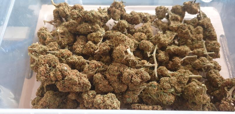 CBD Flower and Hash Listing