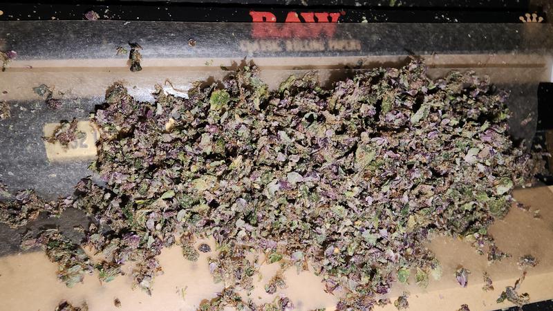 UK GROWN FLOWER