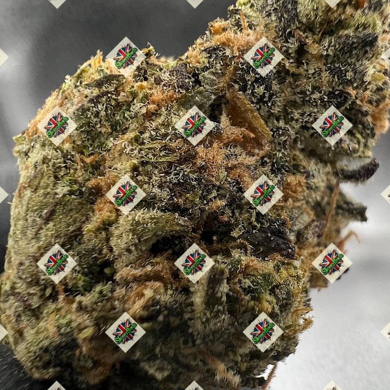 🇺🇸 Brainwash CONNECTED CANNABIS