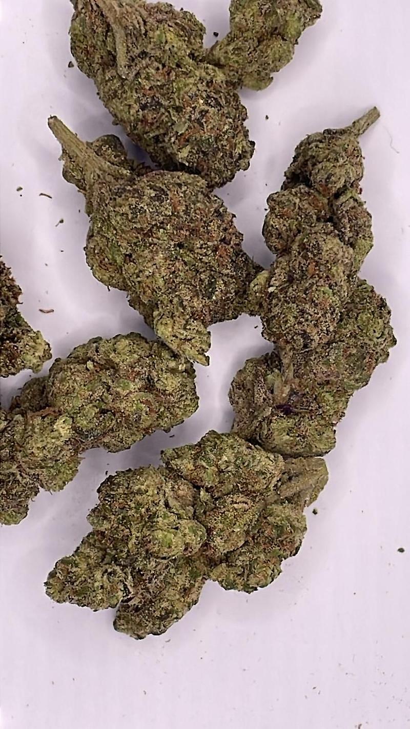 Jelly Donut - EXOTICS