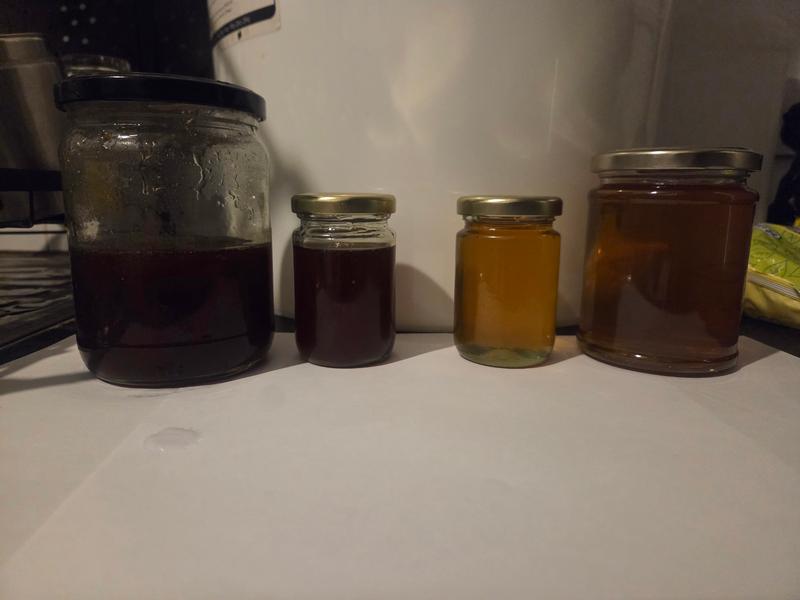 Canna honey