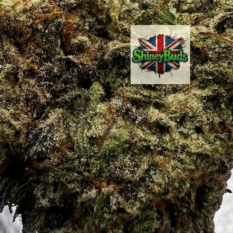🇺🇸 Platinum Cookies (Mids)