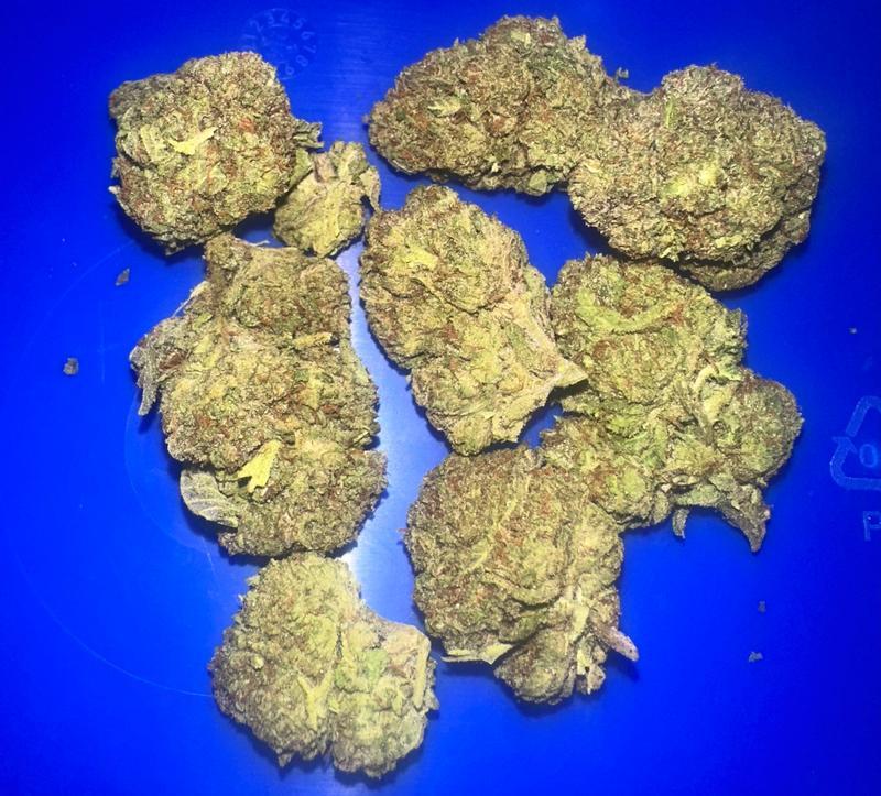 Bruntz Pheno 2