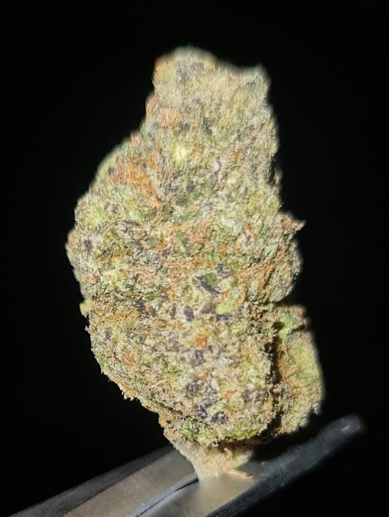 Guava Berry
