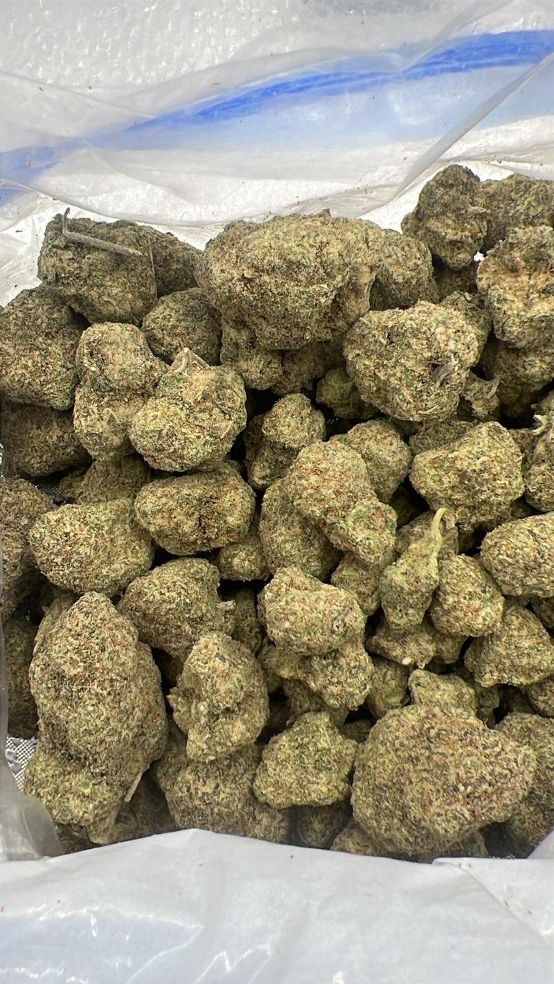 🍨 CALI LOOSE EXOTICS | Black Cherry Gelato 🍨