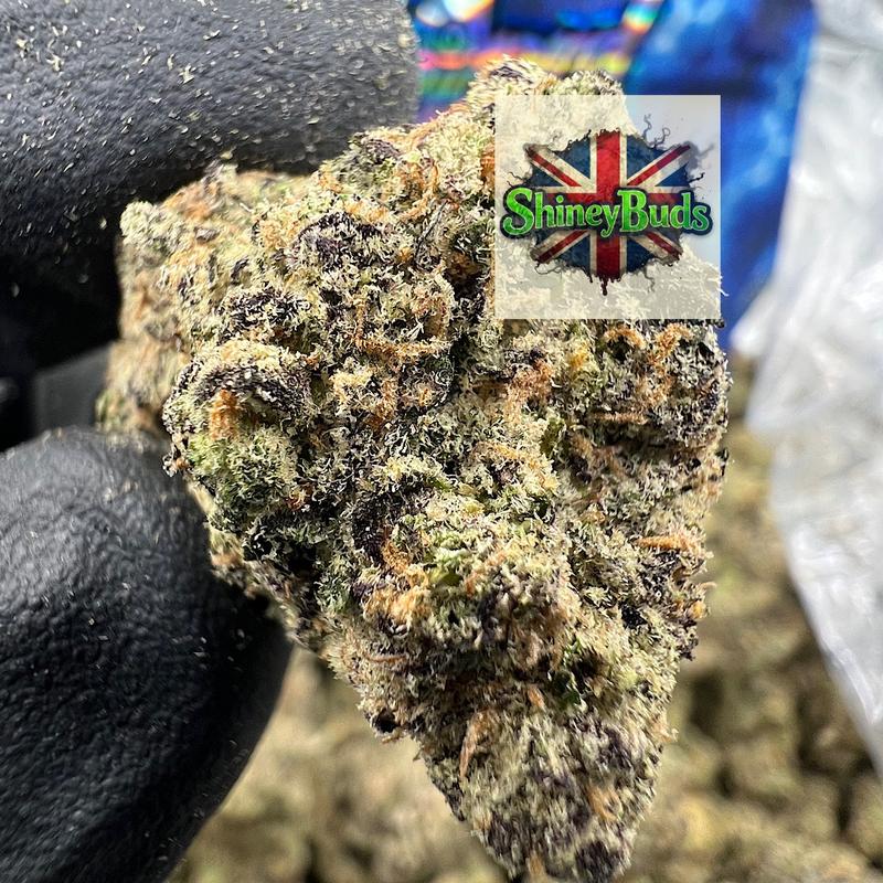 🇺🇸 Blue Banger WIZARD TREES 3.5g Packs