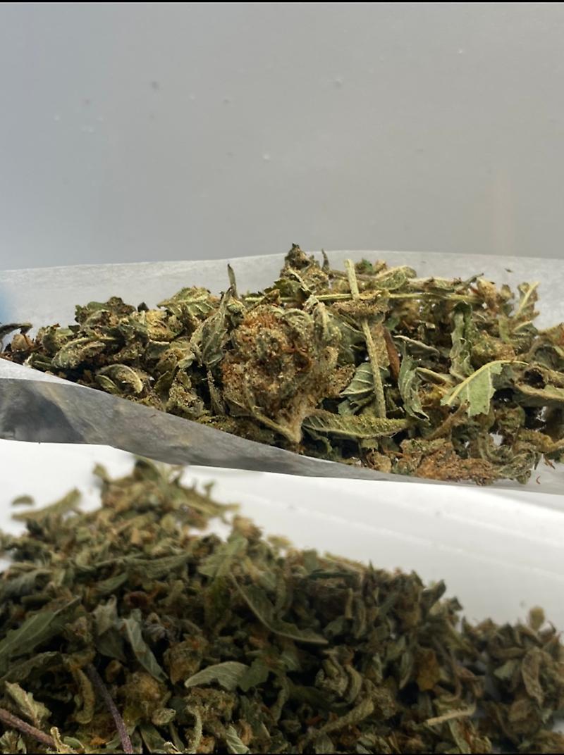 Gassy Dawgs Bollock’s Shake - Ultra Dank