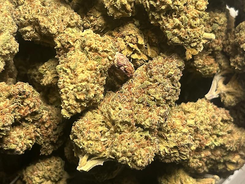 120 dollar promo zips!!