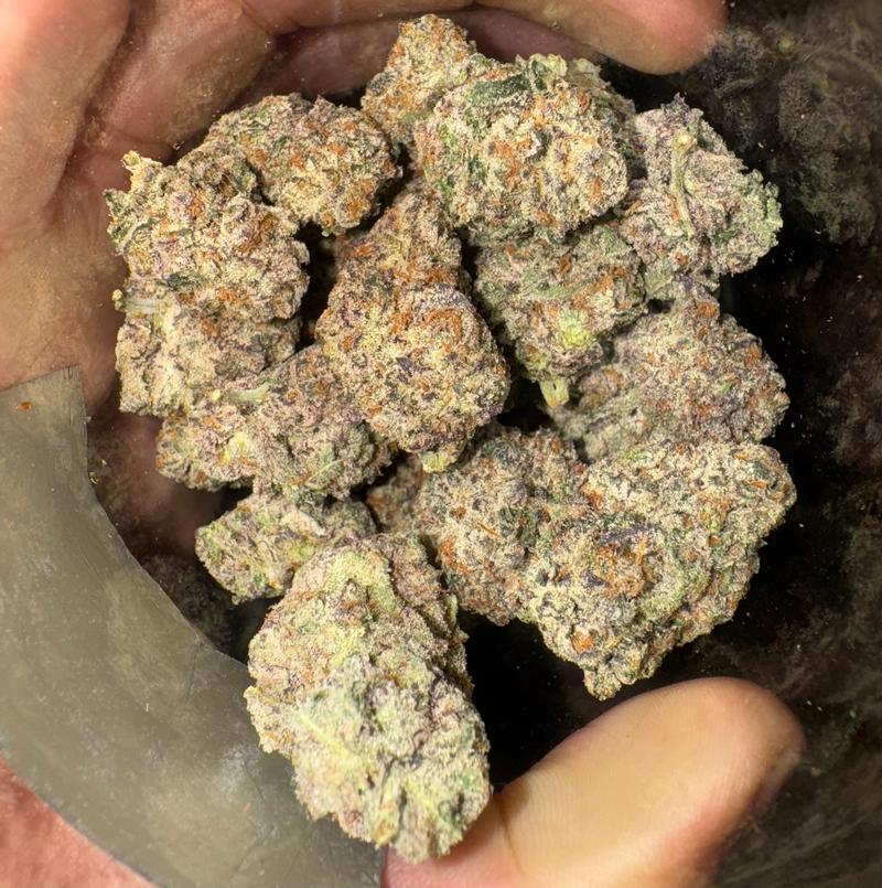 La Bomba (Shipped from Spain)