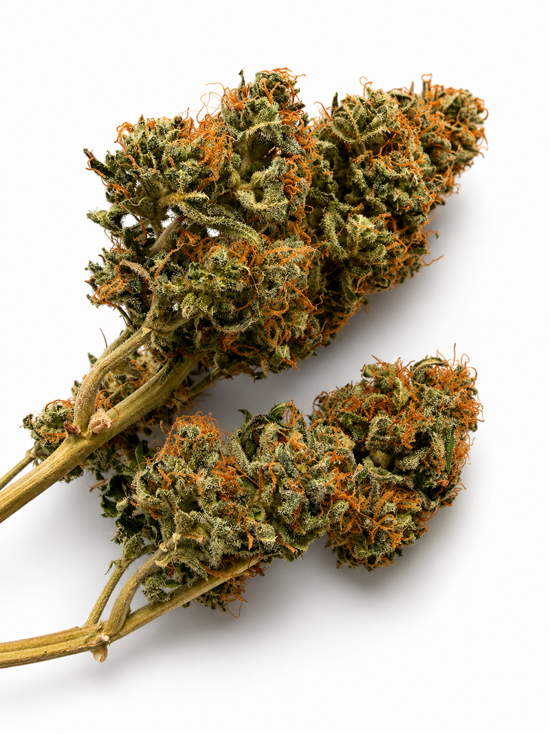 Northern Lights — UK Home Grown | Premium Indoor