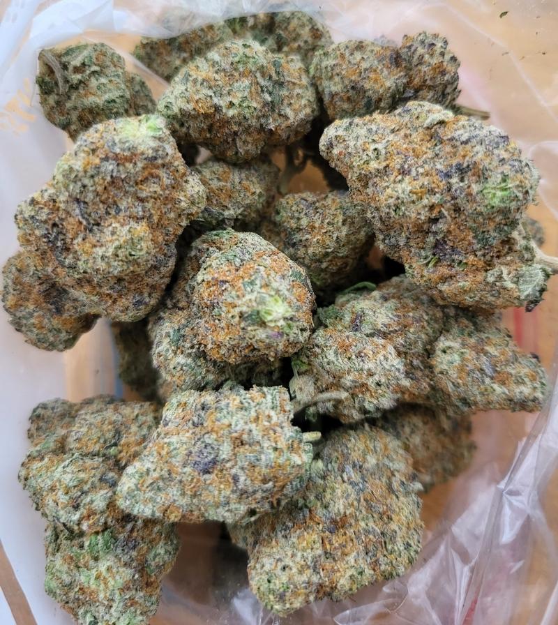 **GLUELATO**