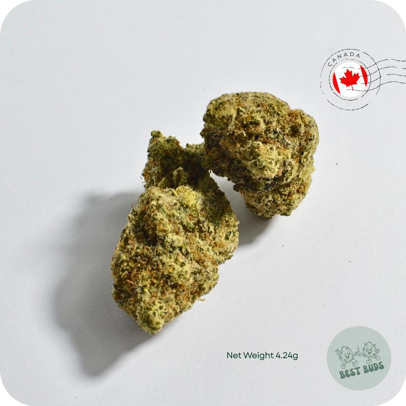 Imported Flower
