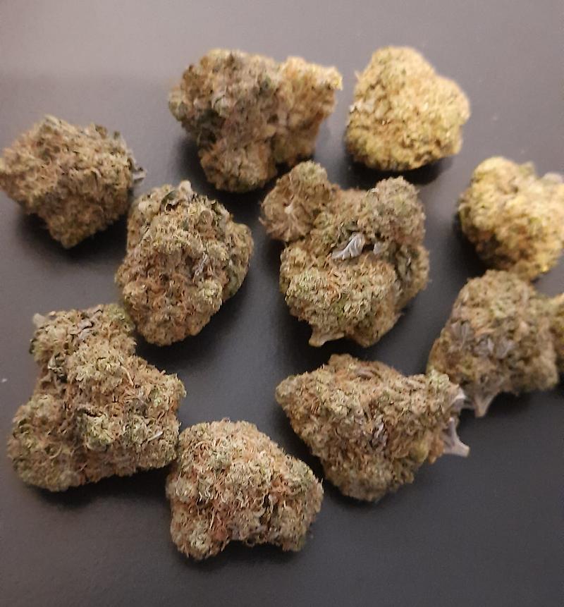 **DB#10 - (FREE RM 1ST CLASS DISPATCH)**