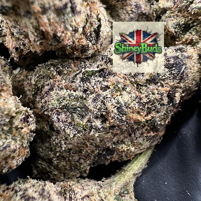 🇺🇸 Black Mochi