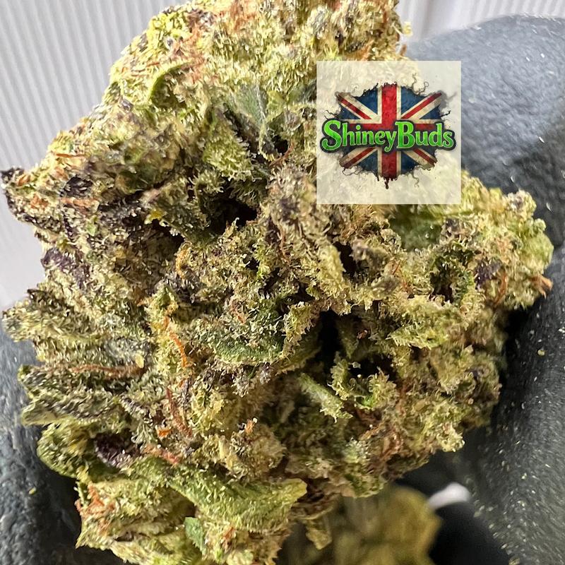 🇬🇧 Peanut Butter Gelato