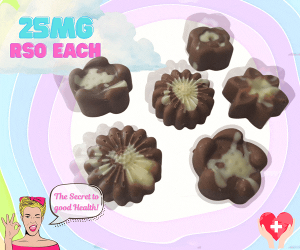 The Wellness Bar ✨