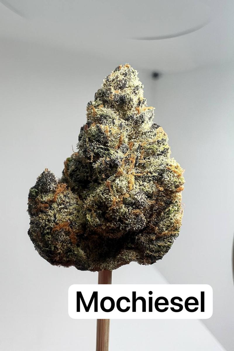 Mochiesel 3.5G,Super Mac 3.5G,Jet fuel Gelato 3.5G.Intr